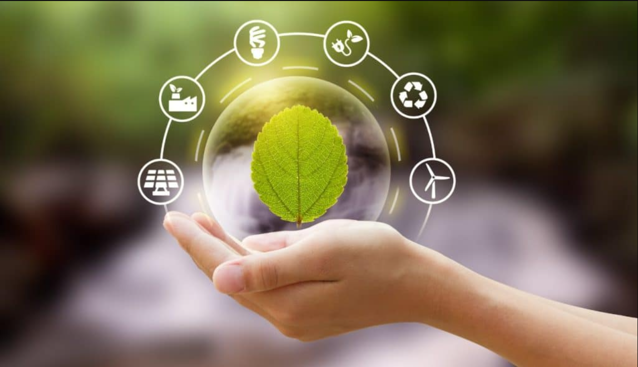 Sustentabilidade vira prioridade no setor empresarial